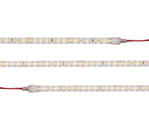 TLG S11063