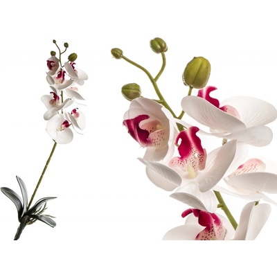 Umělá orchidej 95 cm, bílá s tmavě růžovou