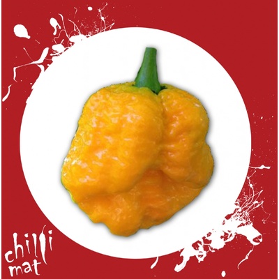 CHILLIMAT Semena Chilli Trinidad Scorpion moruga Yellow 10ks