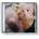 Rexha Bebe - Dirty Blonde CD