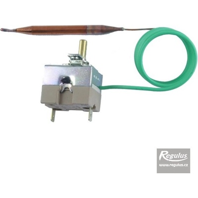 REGULUS 95A090R20/04756 0- 90°C, kapilára 1 m, 10924
