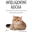 Inteligentní kočka