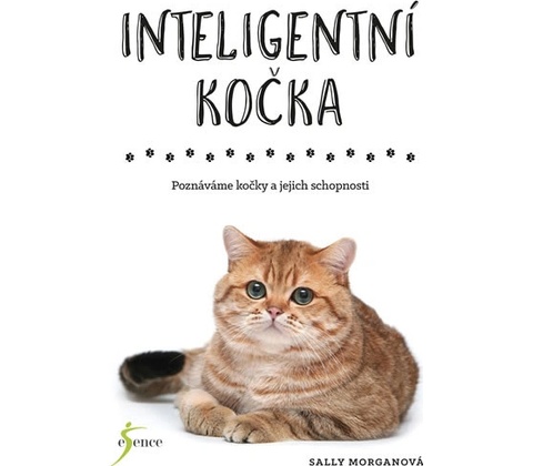 Inteligentní kočka