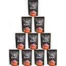 Rafi Cat kačacie 10 x 100 g