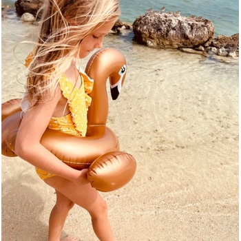 Image 1 of Swim Essentials : Пояс ⌀56 см. за деца от 3+ години - "Splitring Gold Swan (SWE-2020SE03)