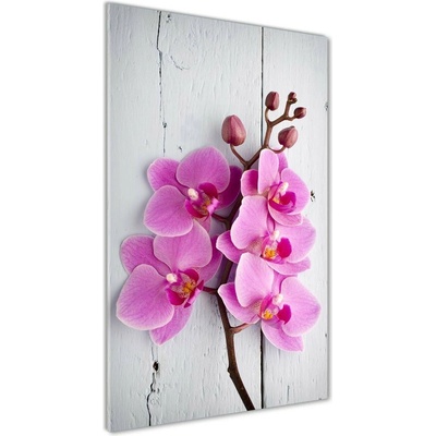 Vertikálny fotoobraz na skle Ružová orchidea 50x100 cm