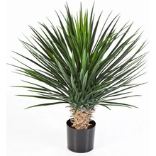 Luxusní umělá palma YUCCA ROSTRATA DELUXE, 80 cm