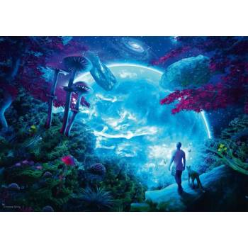 Schmidt Spiele - Puzzle Celestial Sky - 1 000 piese