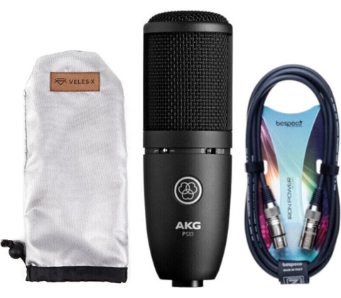 AKG P120