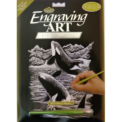 Royal Langnickel škrabací obrázek stříbrný Kosatky