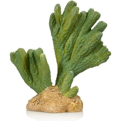 GiganTerra Umělý Kaktus Rome 13 x 6,5 x 13 cm