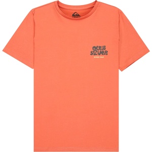 Quiksilver Детска тениска Quiksilver Kid's Fruits Tide S/S T-shirt - Desert Sand - размер 16 (US) (704-6115-0215)