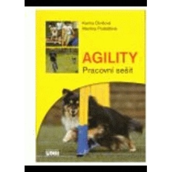Agility - pracovní sešit