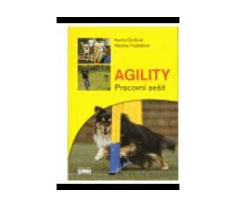 Agility - pracovní sešit