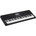 Casio CT X800