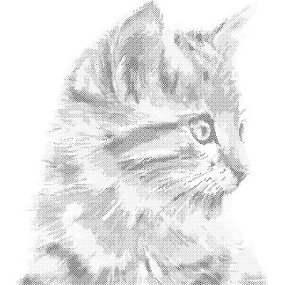 ZUTY Bodkovanie - MAČIČKA Rámovanie: bez rámu a bez vypnutia plátna, Rozmer: 40x50 cm