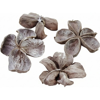 land lotus wash white, cena za 20 ks