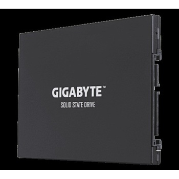 Gigabyte PRO 256GB, GP-GSTFS30256GTTD