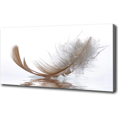 Moderný fotoobraz canvas na ráme Pierka vo vode 100x50 cm