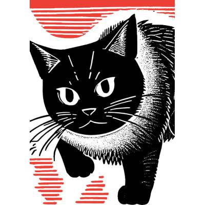 Plagát, Obraz - Intense Black Cat, Lembayung senja studio, 30 × 40 cm