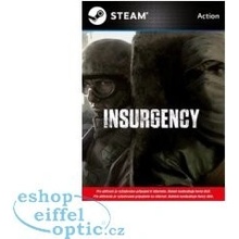 Insurgency