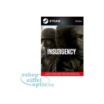 Insurgency