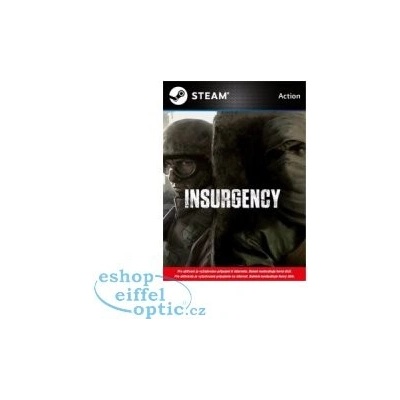 Insurgency