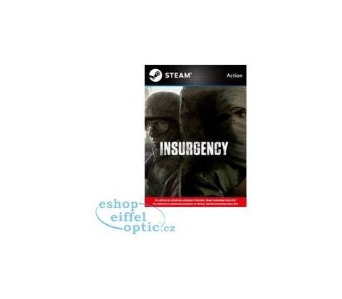 Insurgency