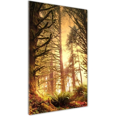 Vertikálny foto obraz fotografie na skle Dažďový prales 50x100 cm