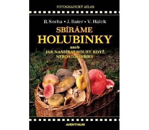 Sbíráme holubinky