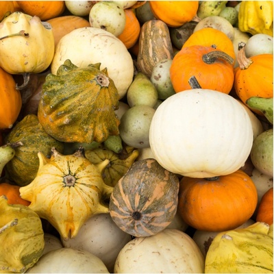 Tykvičky okrasné Cucurbita pepo semena tykve 20 ks