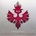 Discipline - Captives Of The Wine Dark Sea (LP) (0763232107915)