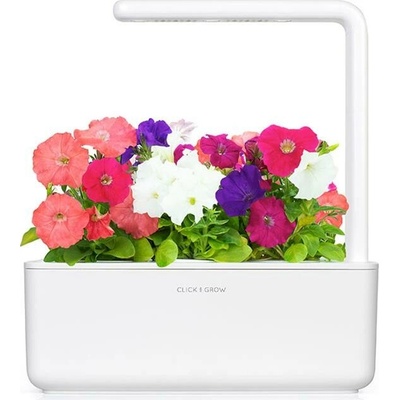 Smart Garden Petunie