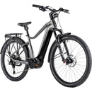 LEADER FOX Dixon 2024