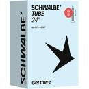 Schwalbe GV