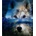 Norimpex - Puzzle Diamant painting: Wolf spirit at night 30x40cm - 1 - 39 piese