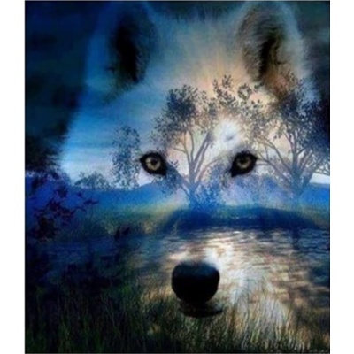 Norimpex - Puzzle Diamant painting: Wolf spirit at night 30x40cm - 1 - 39 piese