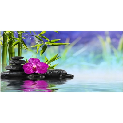 Moderný foto obraz na stenu orchidea bambus 100x50 cm