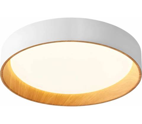 Toolight OSW-06381