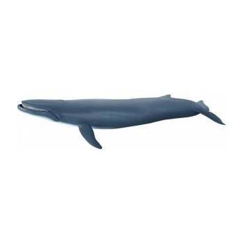 Papo Blekitny pletwal