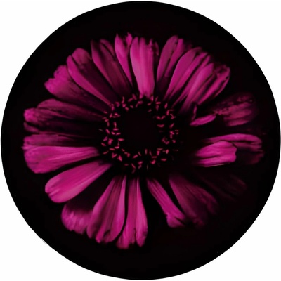 Bukoma Play 120 cm 08 Neonový květ