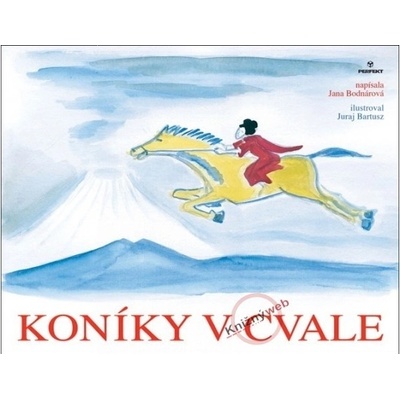 Koníky v cvale - Jana Bodnárová