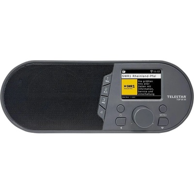 TELESTAR TOP IR50 Anthracite Интернет радио (5700050)