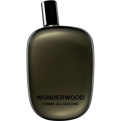 Comme Des Garcons Wonderwood parfumovaná voda pánska 100 ml
