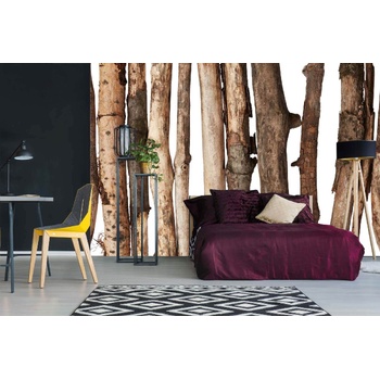 DIMEX ART s. r. o Самозалепваща се флизелинова фототапета дървени клонки 375 x 250 см