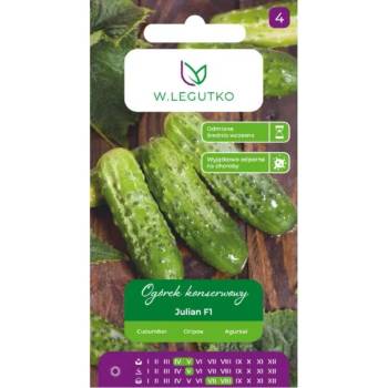 W. Legutko Краставица Julian F1 за консервиране