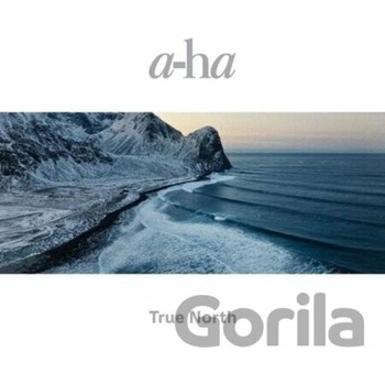A-HA - TRUE NORTH CD