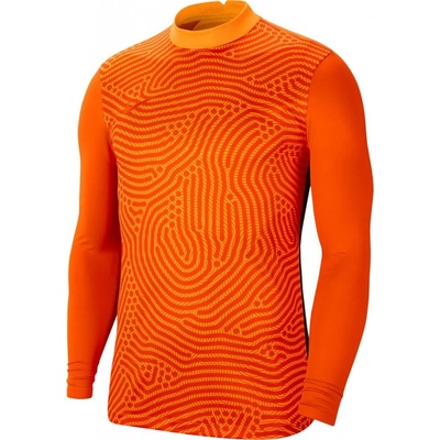 Nike Gardien III GK Jersey LS bv6711 803