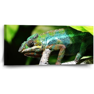 Sablio Obraz Chameleon - 110x50 cm