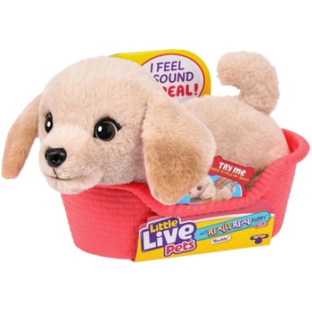 Little Live Pets Moose Toys Little Live Pets My Really Real Puppy Mini's - Golden Retriever Buddy (MS26650) (MS26650)